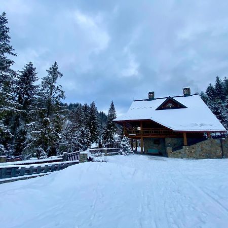 Na Gori Villa Slavske Exteriör bild