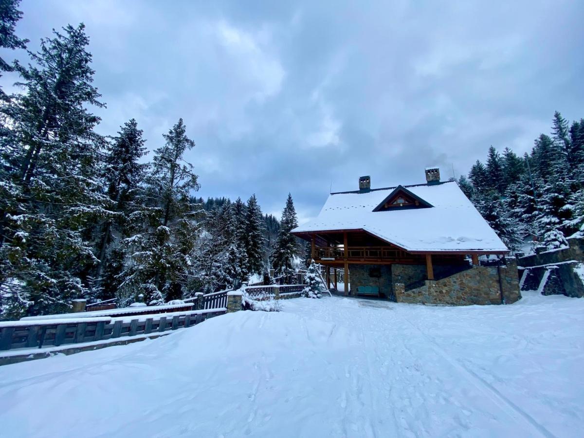 Na Gori Villa Slavske Exteriör bild